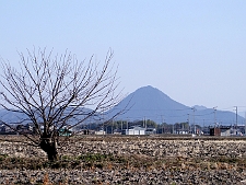 写真拡大