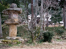 写真拡大