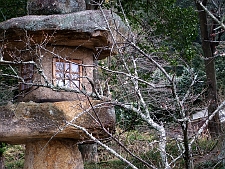 写真拡大
