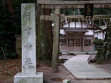 写真拡大