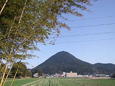 写真拡大
