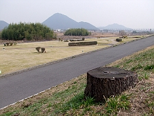 写真拡大
