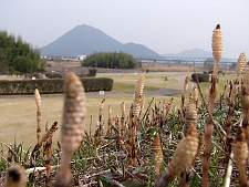 写真拡大