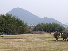 写真拡大