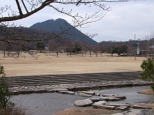 写真拡大