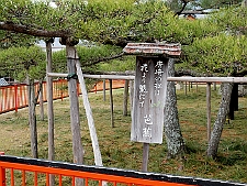 写真拡大