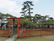 写真拡大