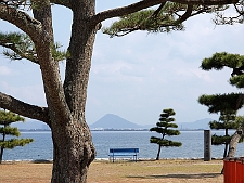 写真拡大