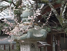 写真拡大