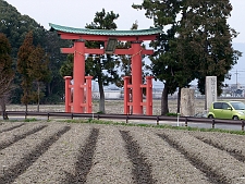 写真拡大
