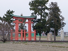 写真拡大