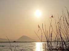 写真拡大