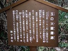 写真拡大