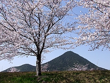 写真拡大