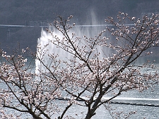 写真拡大
