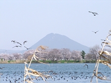 写真拡大