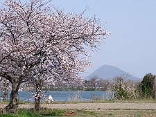 写真拡大