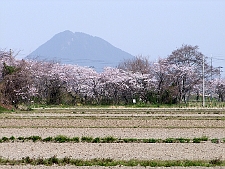 写真拡大