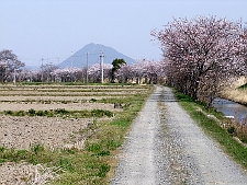 写真拡大