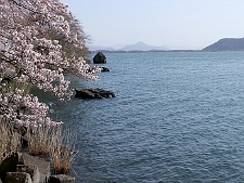 写真拡大