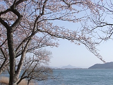 写真拡大