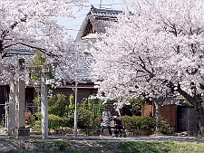 写真拡大