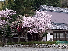 写真拡大