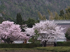 写真拡大