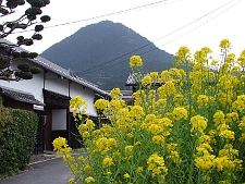 写真拡大