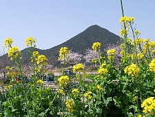 写真拡大