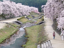 写真拡大