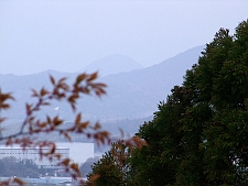 写真拡大