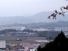 写真拡大