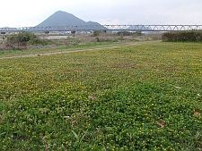 写真拡大
