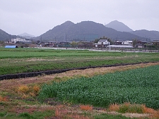写真拡大