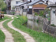 写真拡大