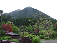 写真拡大