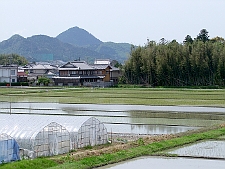 写真拡大