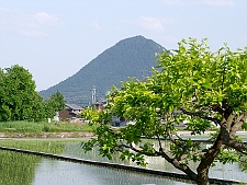 写真拡大