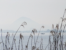 写真拡大