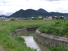 写真拡大
