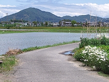 写真拡大