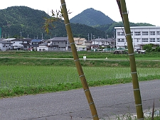 写真拡大