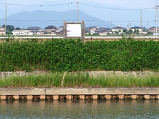 写真拡大