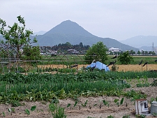 写真拡大