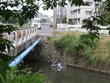 写真拡大
