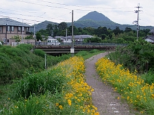 写真拡大
