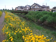 写真拡大