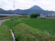 写真拡大