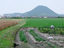 写真拡大